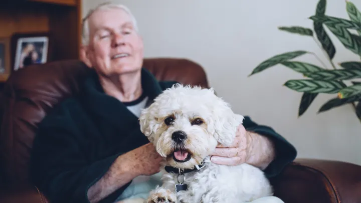 Are Pets a Good Companion Option for Seniors?