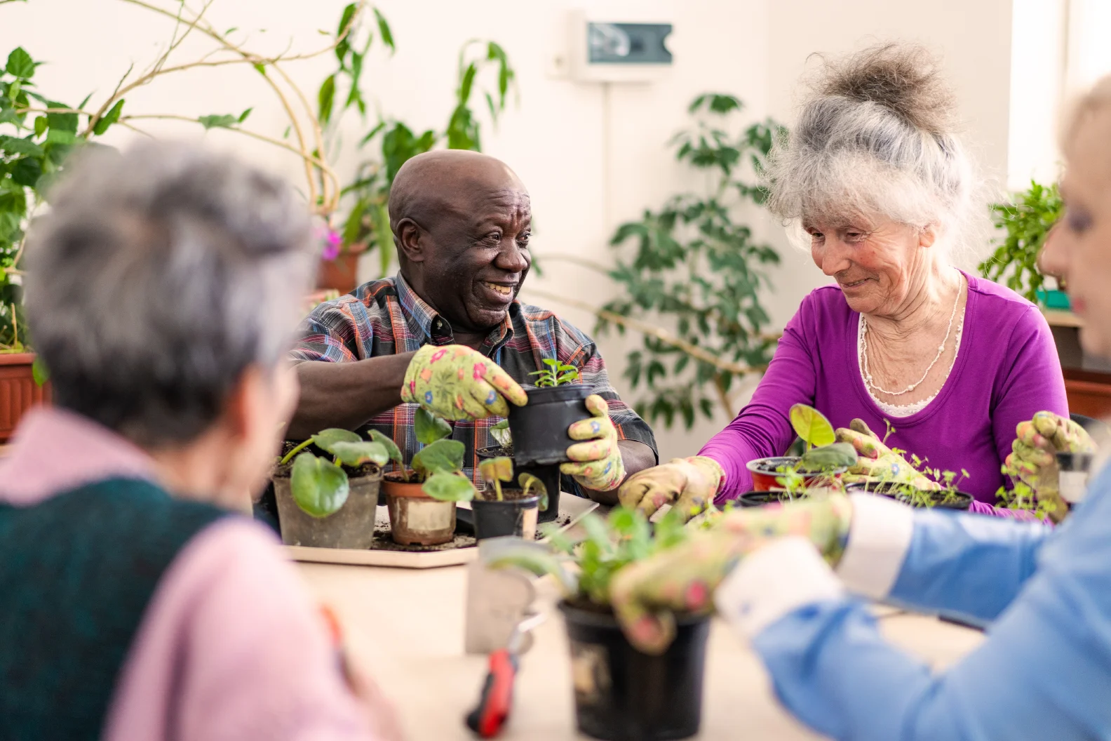 Explore the Benefits of Gardening for Seniors 